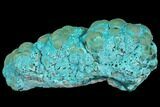 Botryoidal Malachite and Chrysocolla - Congo #148242-1